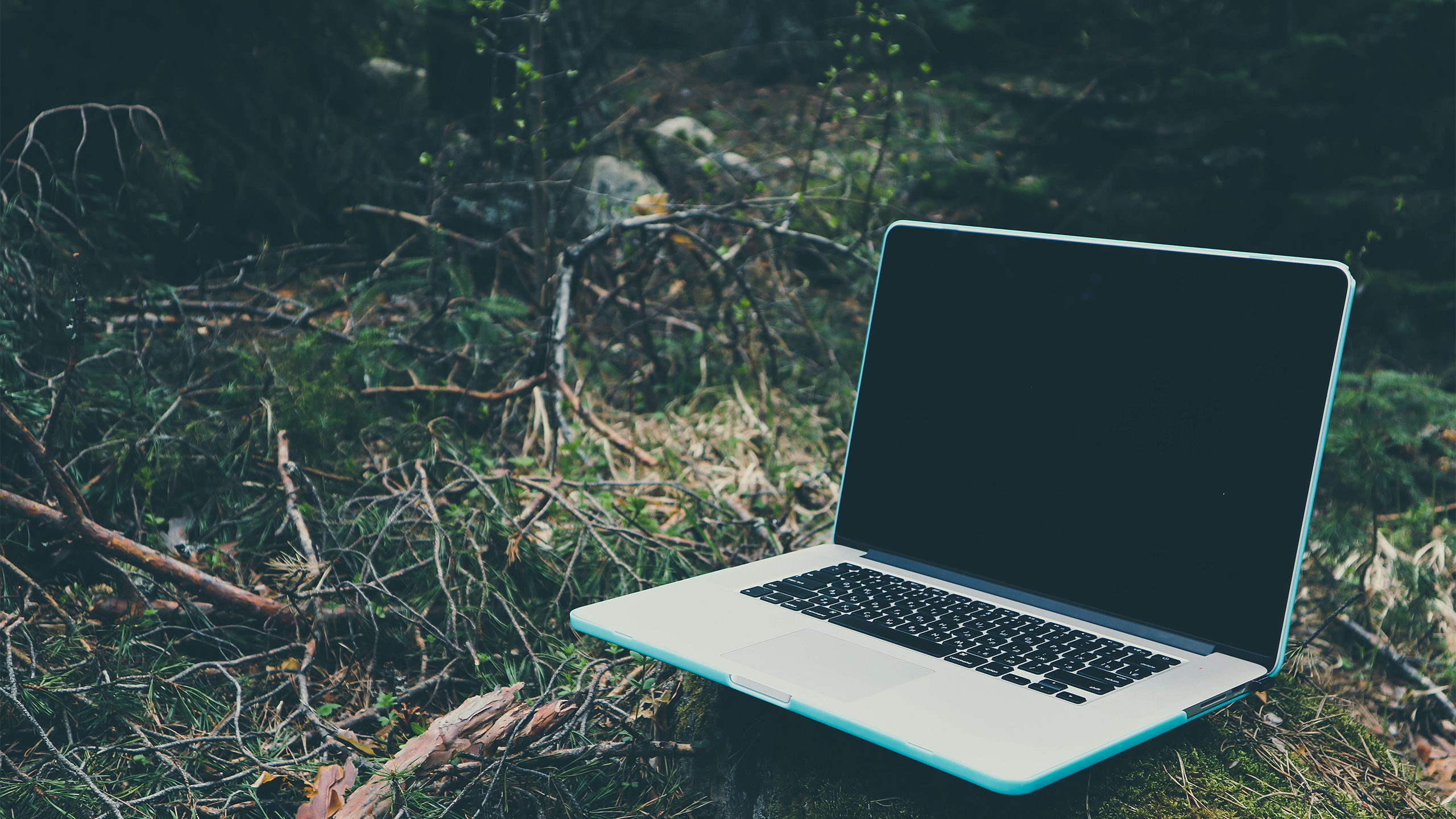A computer on the grass